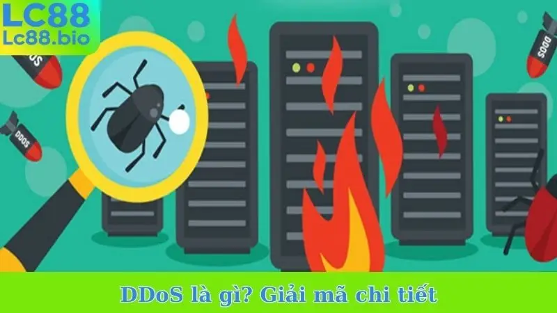 DDoS là gì? Giải mã chi tiết